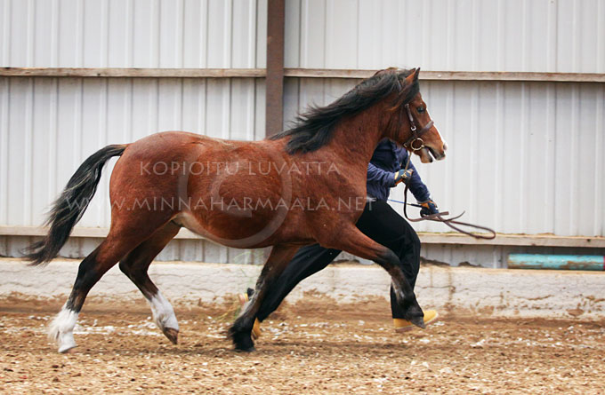 c_cloudberry_skys_the_limit_0816.jpg