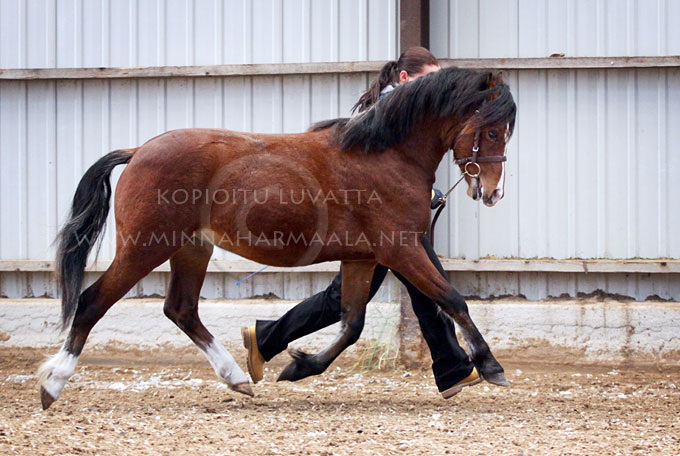 c_cloudberry_skys_the_limit_0876.jpg
