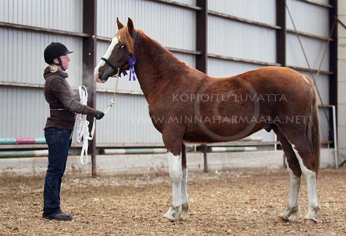 d_moondelight_montgomery_1367.jpg