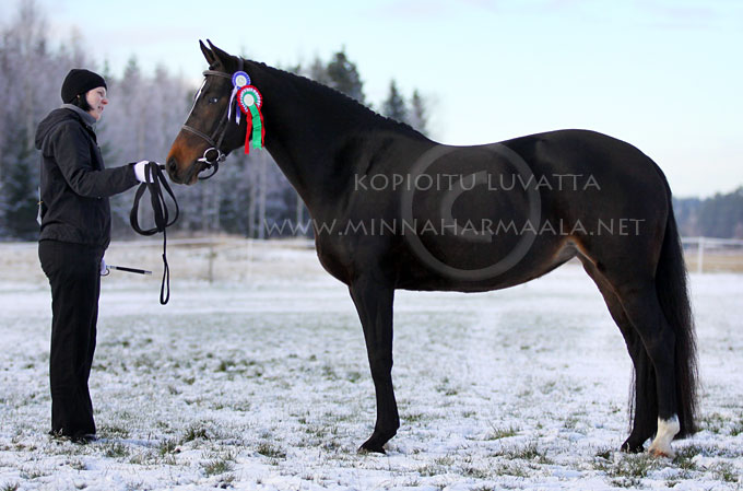 wpb_soderby_gard_valmai_1351.jpg