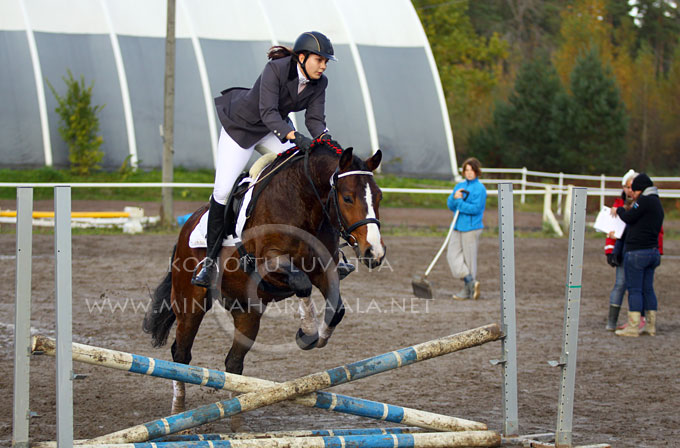 karelian_mister_fun_9409.jpg