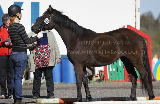 felicity_miris_3634.jpg