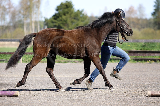 felicity_miris_3678.jpg