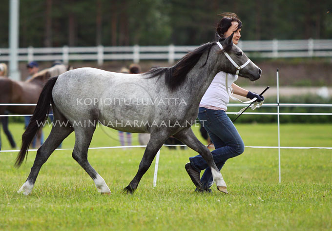 cloudberry_welsh_ffion_4384.jpg