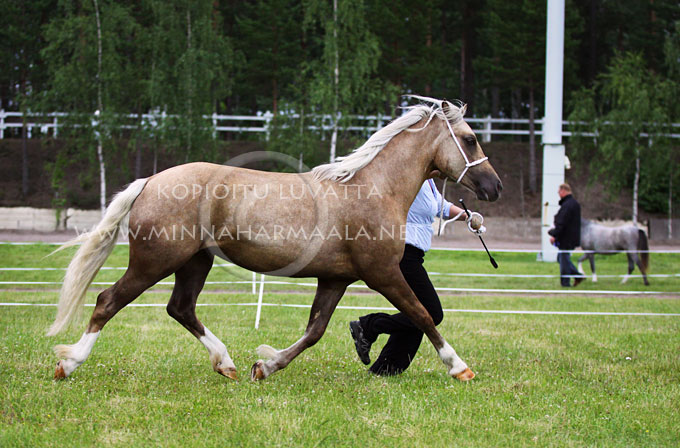 nattens_anastasia_6056.jpg