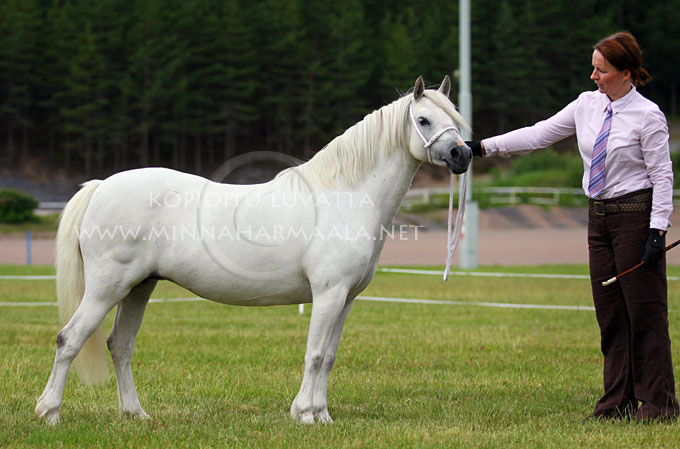 mettys_cherine_7240.jpg