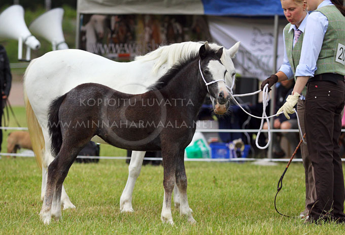 moondelight_ceridwen_6890.jpg