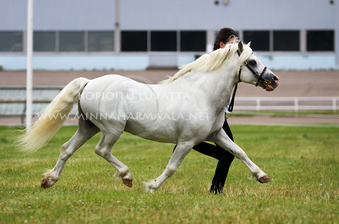 moondelight_idefix_7095.jpg