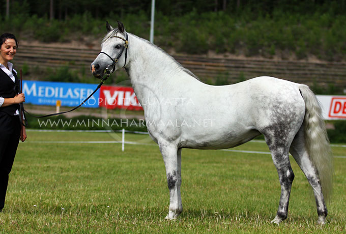 larkhills_funny_girl_7532.jpg