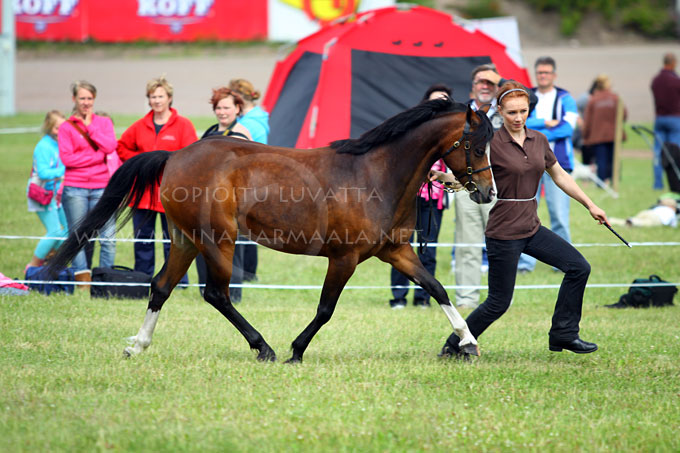 larkhills_versailles_7421.jpg