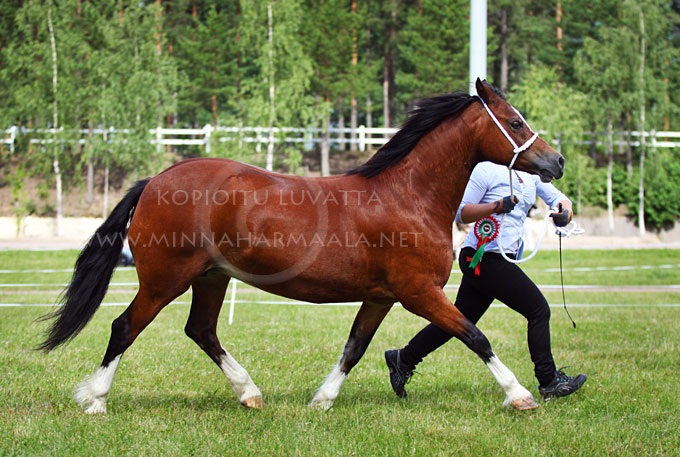 bodwenarth_seraphim_9295.jpg