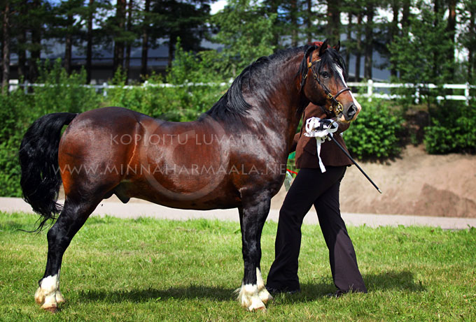 cyntaf_the_charmer_9352.jpg