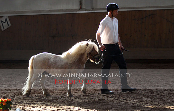 spingfield_victor_5454.jpg