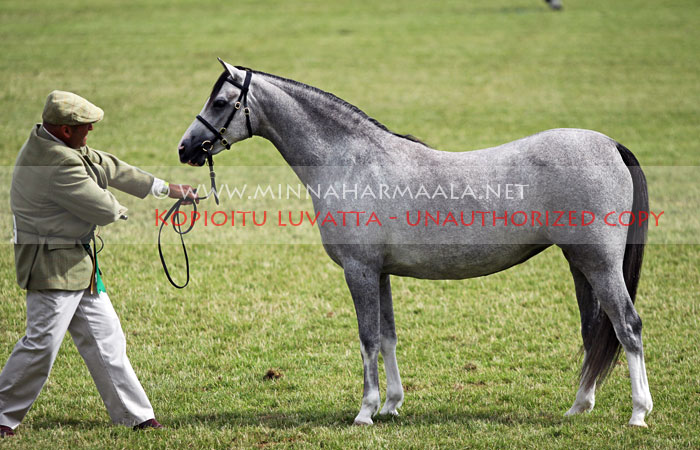 kallared_windrose_5627.jpg