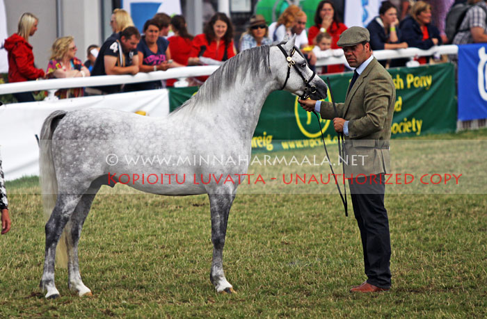 paddock_marquis_5825.jpg