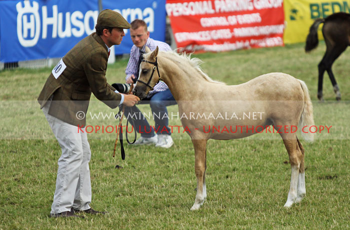 unnamed_filly_5455.jpg