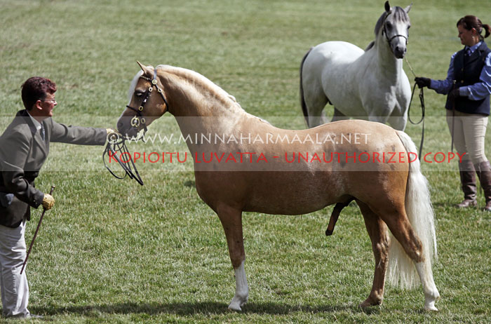 cadlanvalley_georgie_boy_3576.jpg