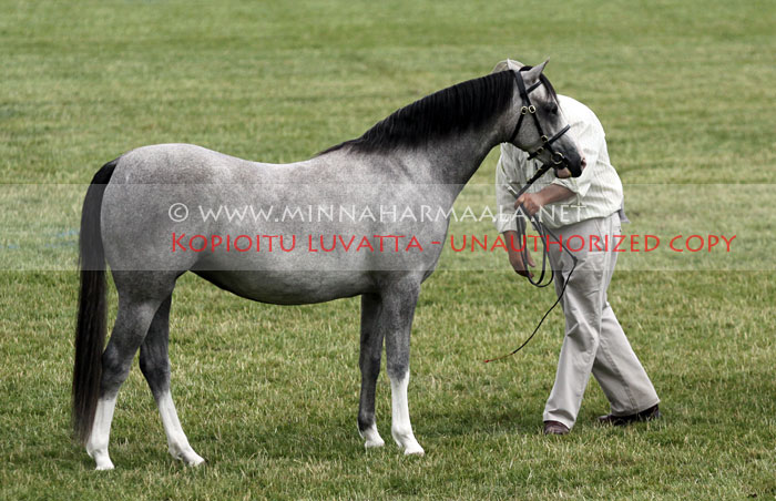 kallared_windrose_3751.jpg