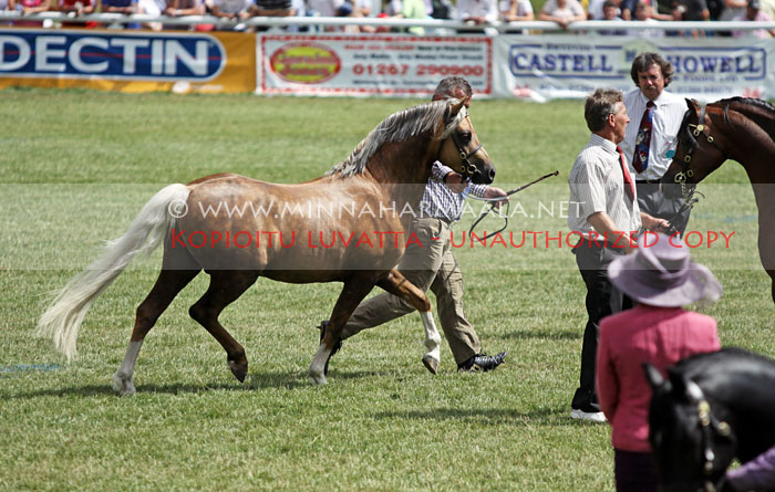 menai_silwyn_3851.jpg