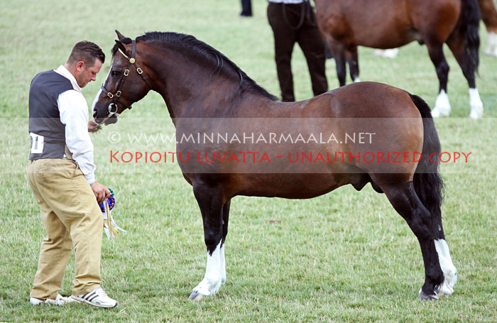 mooncroft_the_master_6203.jpg