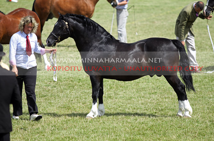 parvadean_renagade_6173.jpg