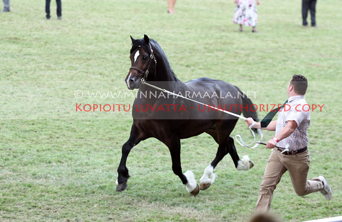 fourways_solo_4173.jpg