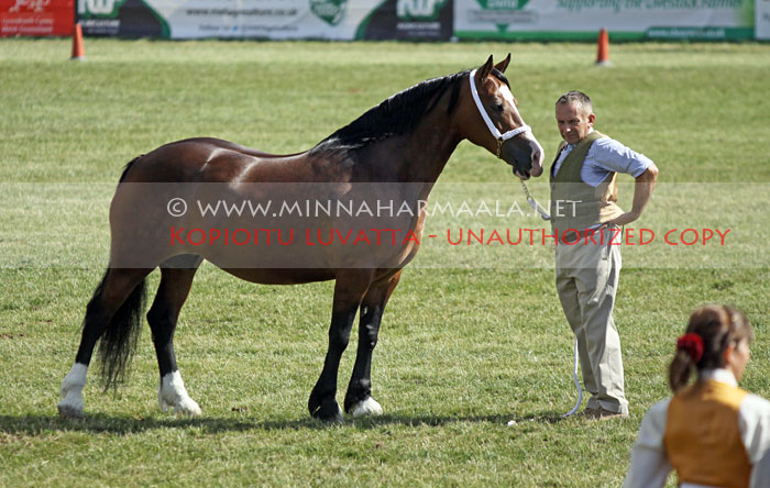 nebo_chatterbox_3446.jpg