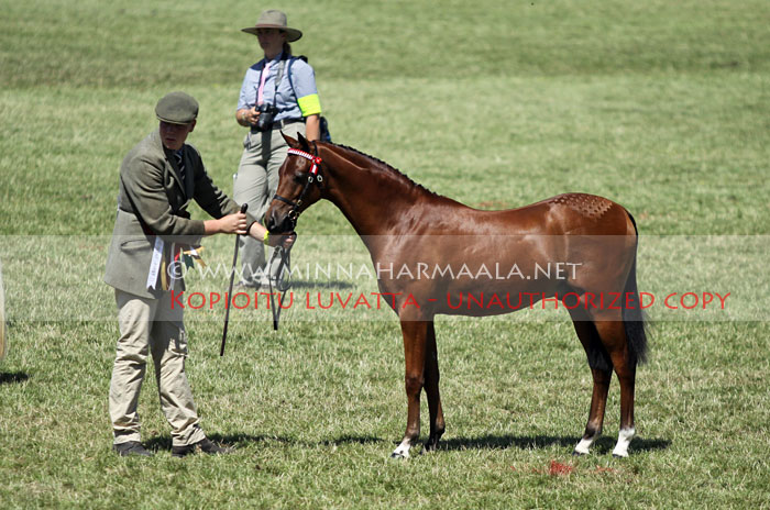 tuscany_aus_royal_jubilee_6495.jpg