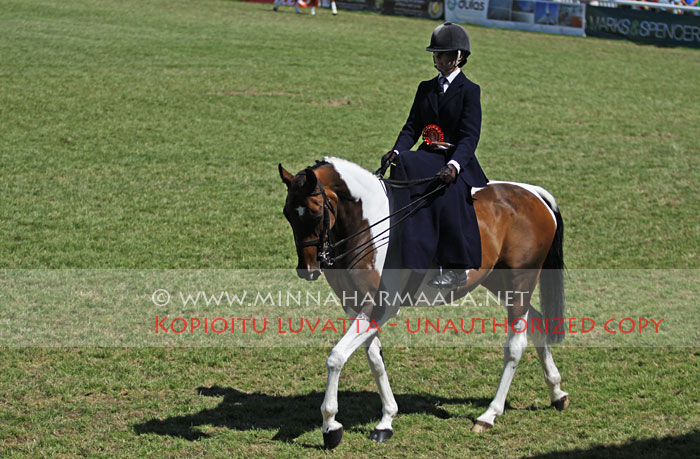 hesta_6543.jpg