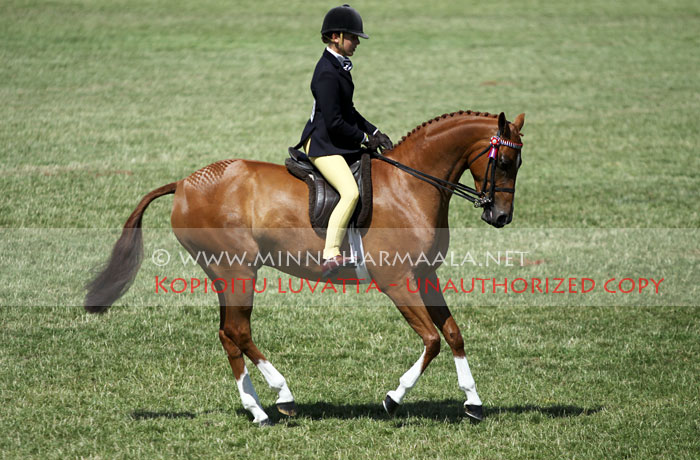 milliyonaire_6709.jpg