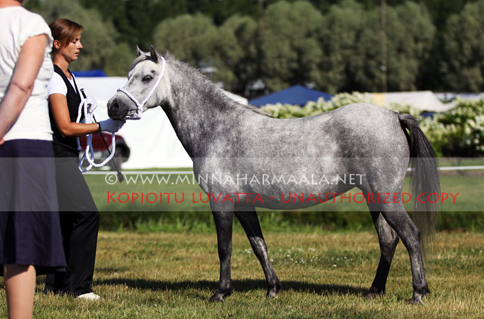 moondelight_nelda_8355.jpg