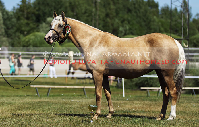 casiphia_8981.jpg