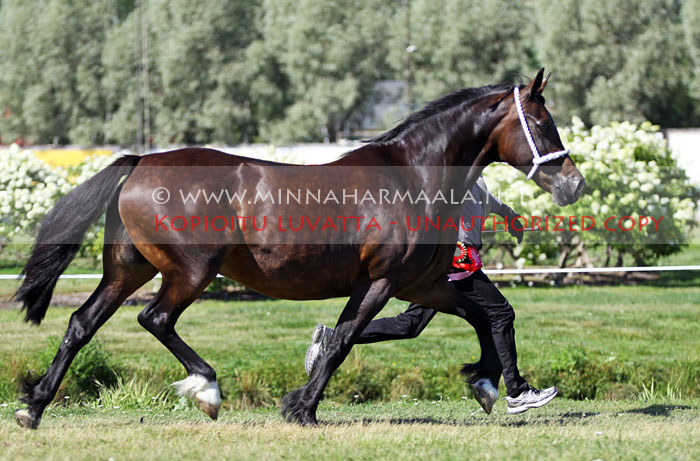 rotherdale_sali_0159.jpg