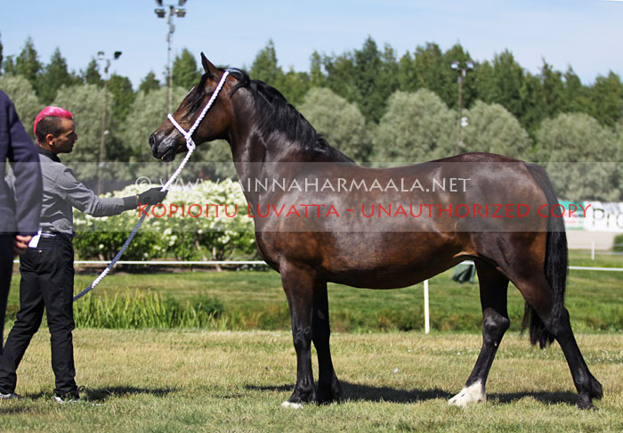 rotherdale_sali_9793.jpg