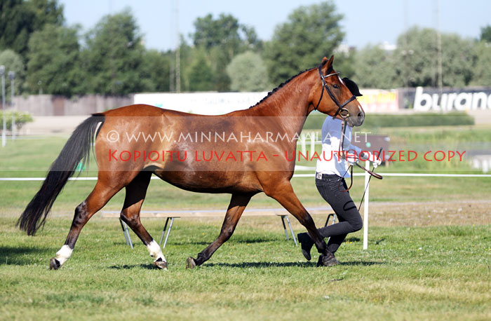 diva_stone_7793.jpg