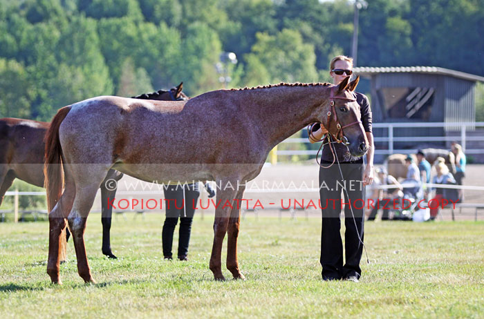 manneaux_8046.jpg