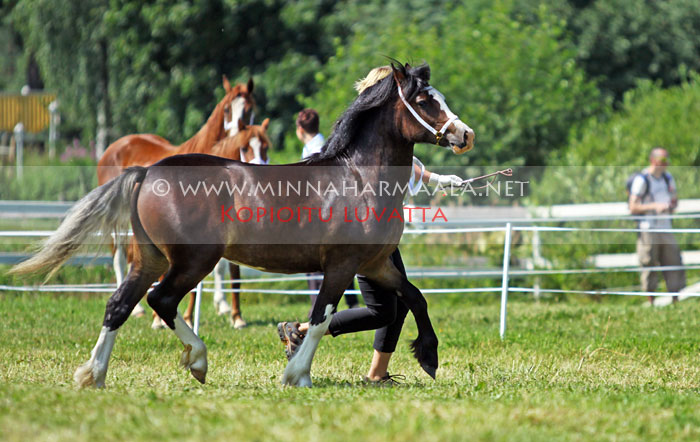 flowzone_champagne_8802.jpg