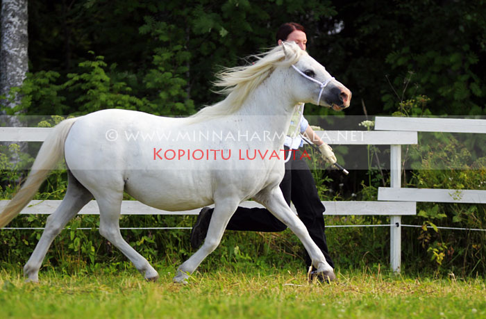 hollybush_camilla_9463.jpg