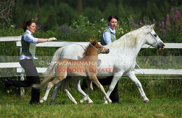 moondelight_callahan_9509.jpg