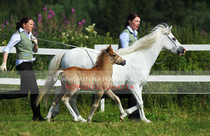 moondelight_callahan_9511.jpg