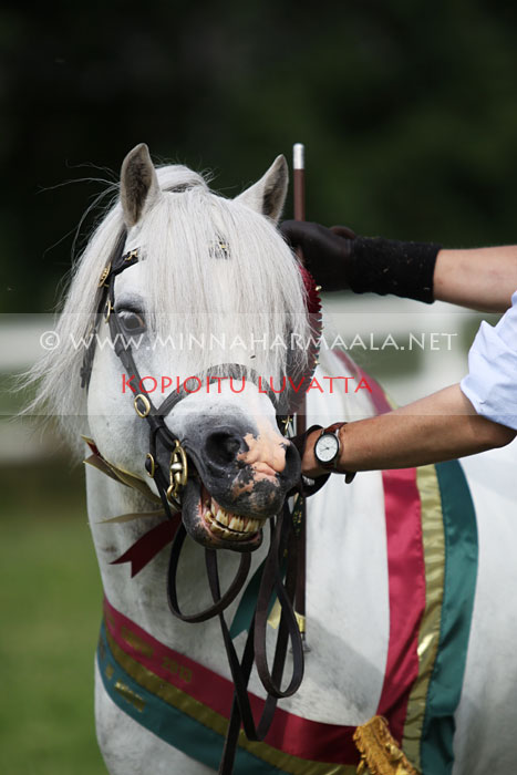 moondelight_neifion_2643.jpg
