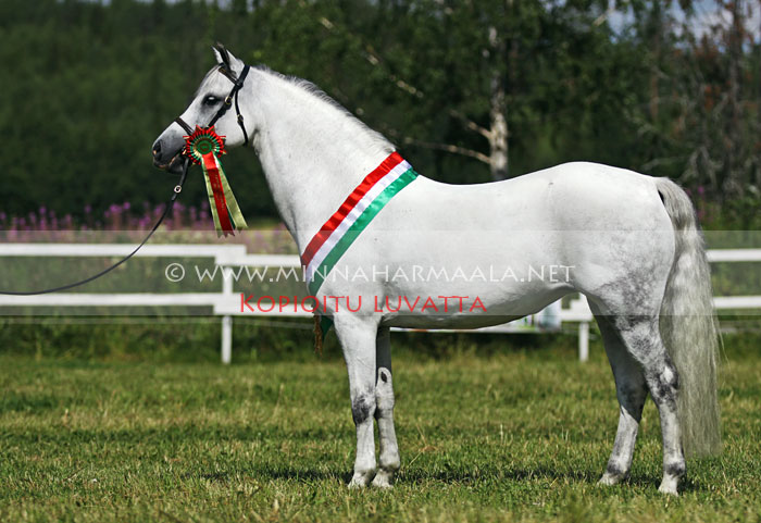 larkhills_funny_girl_0478.jpg