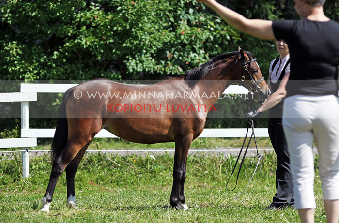 springhill_jolie_0417.jpg
