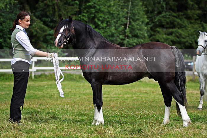 bairdmoor_pegasus_2674.jpg