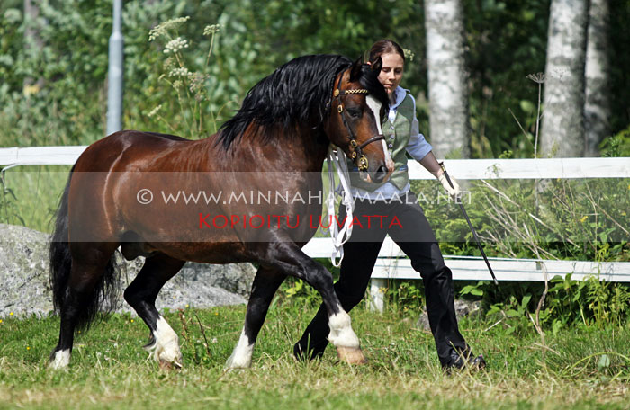 cyntaf_the_charmer_1275.jpg