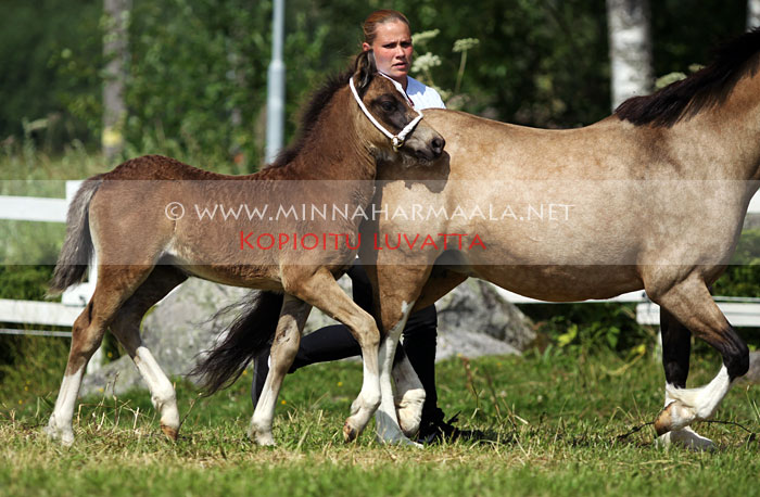peppermint_troublemaker_1083.jpg