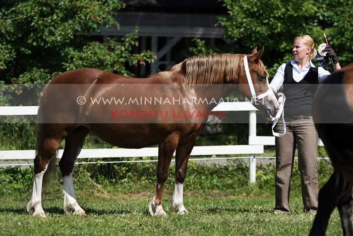 pontardwe_nerys_0904.jpg