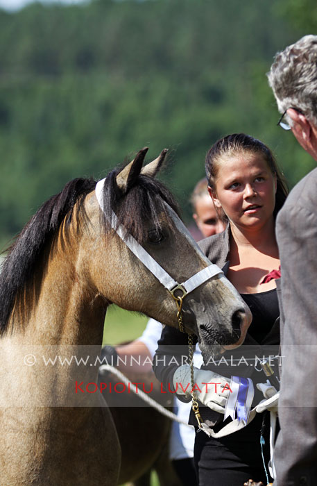 swffryd_teleri_1021.jpg