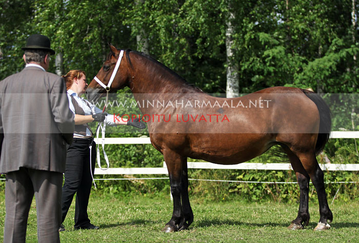 derwen_gwawr_1707.jpg