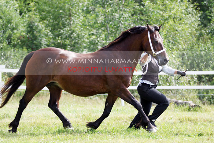 derwen_gwawr_2395.jpg